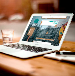 Business Website